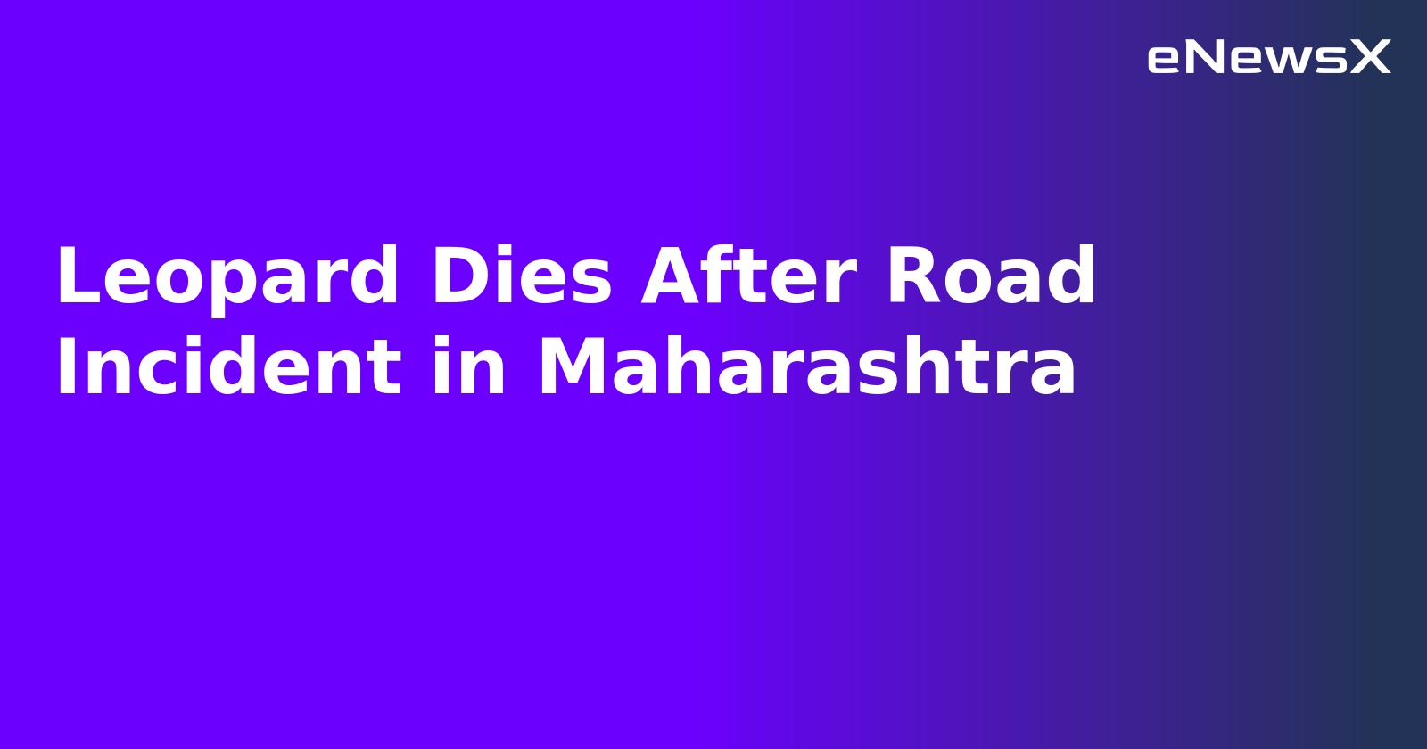 Leopard Dies After Road Incident in Maharashtra.webp