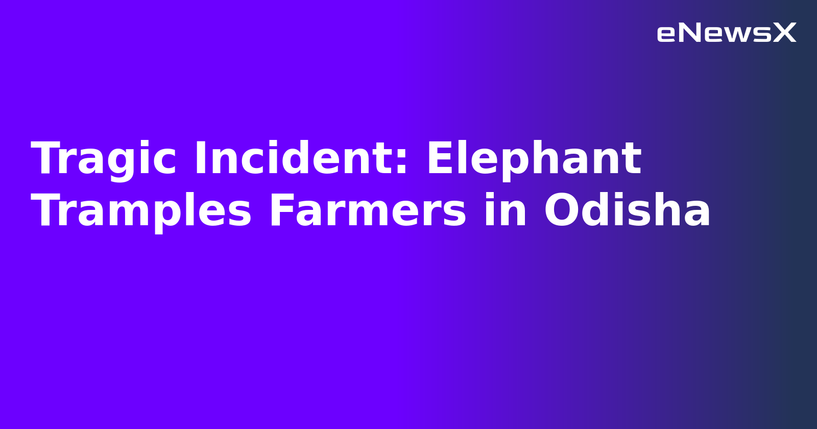 Tragic Incident: Elephant Tramples Farmers in Odisha.webp
